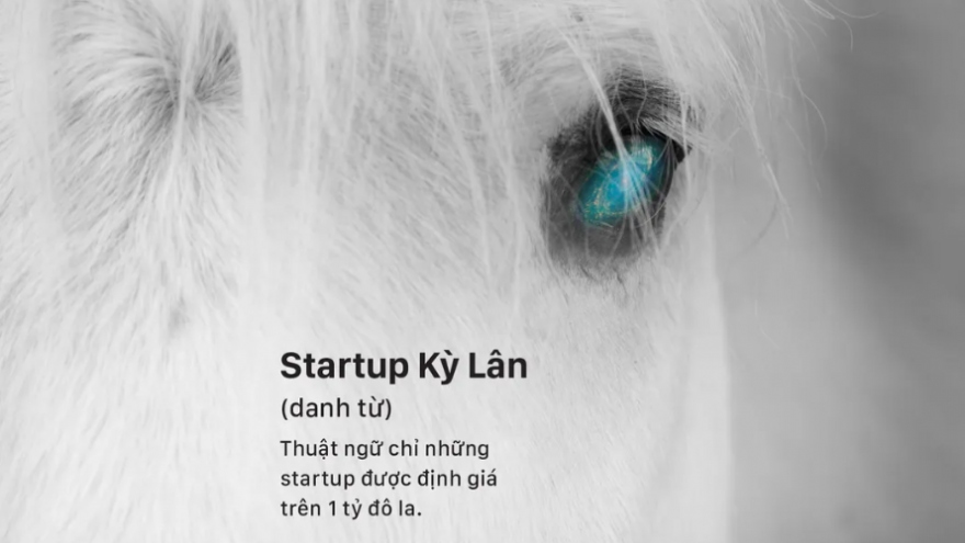 Những bài học quý từ các startup kỳ lân